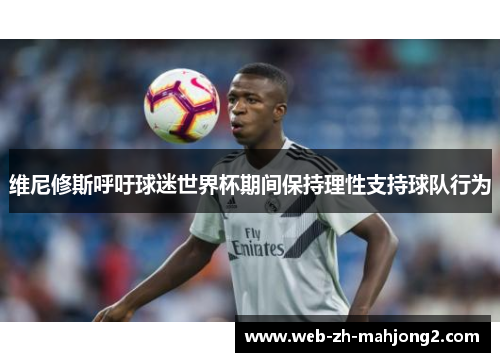 维尼修斯呼吁球迷世界杯期间保持理性支持球队行为